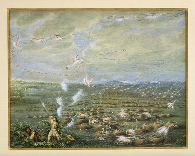 Flamingo Shooting in South America, 1856 by George Catlin